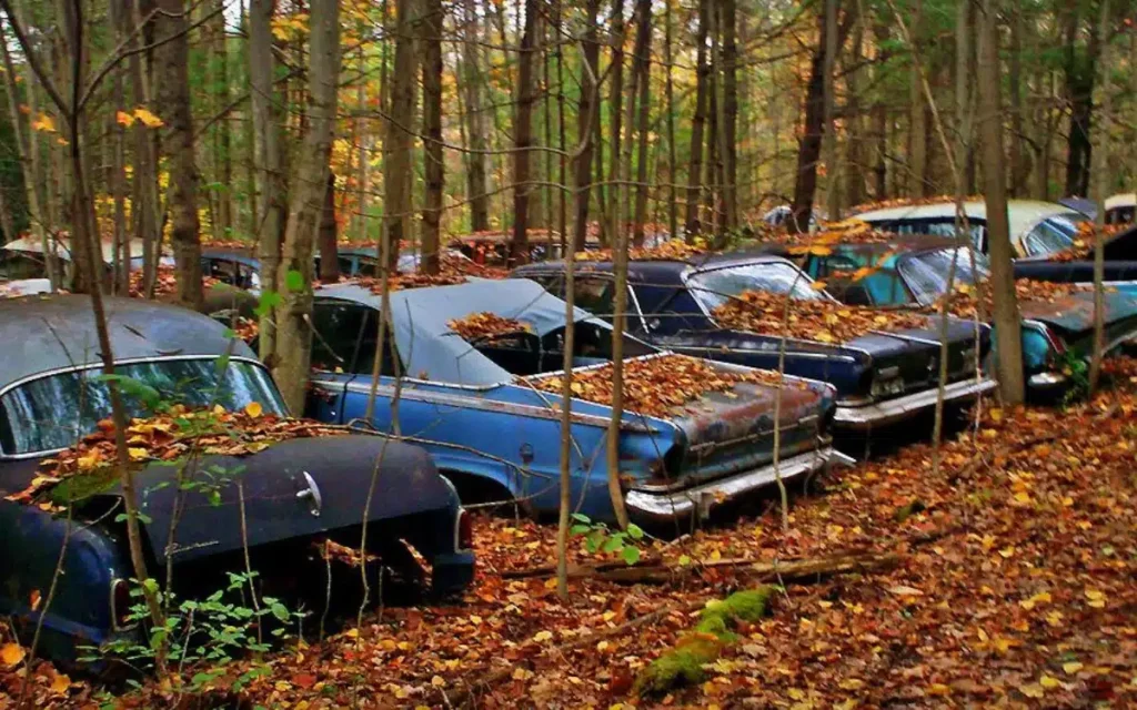 New Yorker Uncovers Abandoned Graveyard Of 300 Vintage Classic Cars