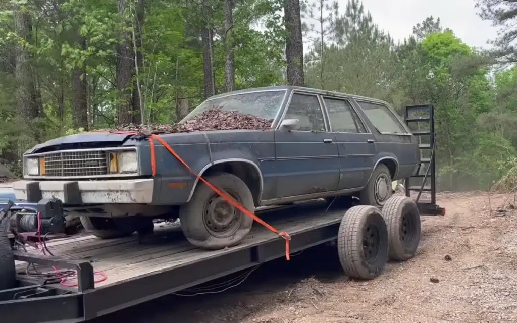 Tennessee Resident Discovers Abandoned Cars, Purchases One From 4,000 Found