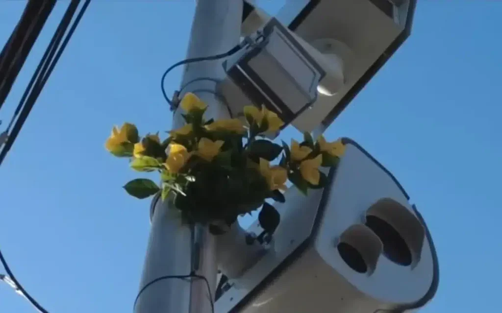 Floral Displays Adorn New York Speed Cameras In Unique Artistic