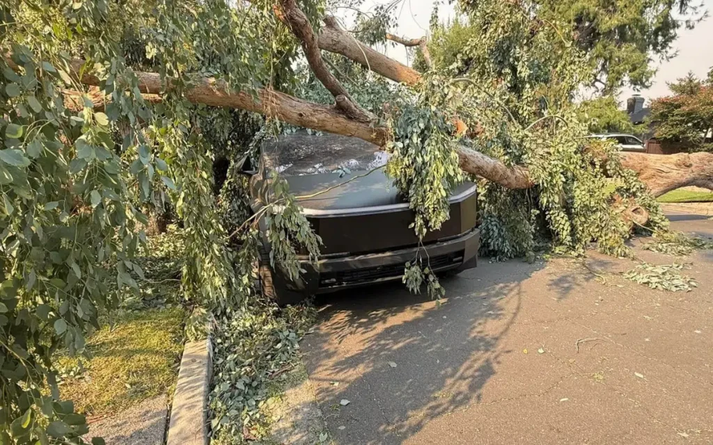 Massive Tree Collides With Tesla Cybertruck, But It Drives Onward