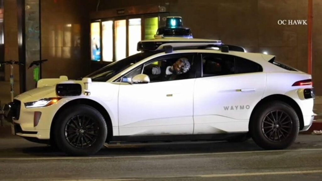 Self Driving Taxi Hijacker Ends Up Riding With Los Angeles Police