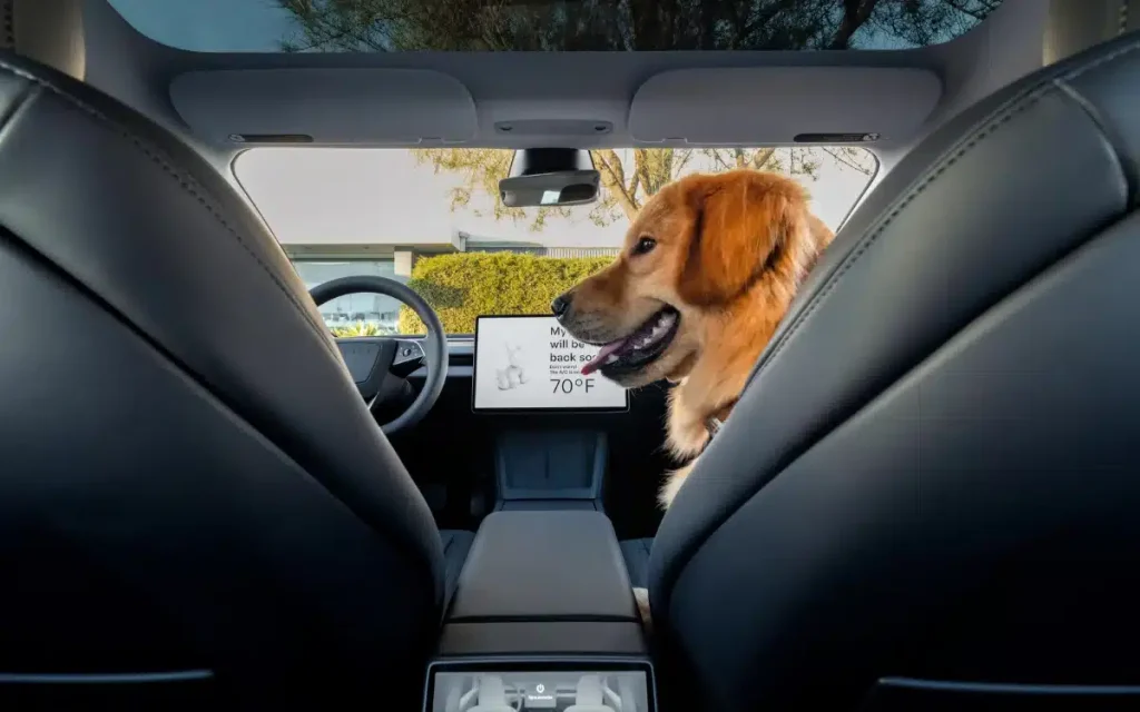 Tesla Introduces Advanced Safety Feature To Improve Vehicle Security